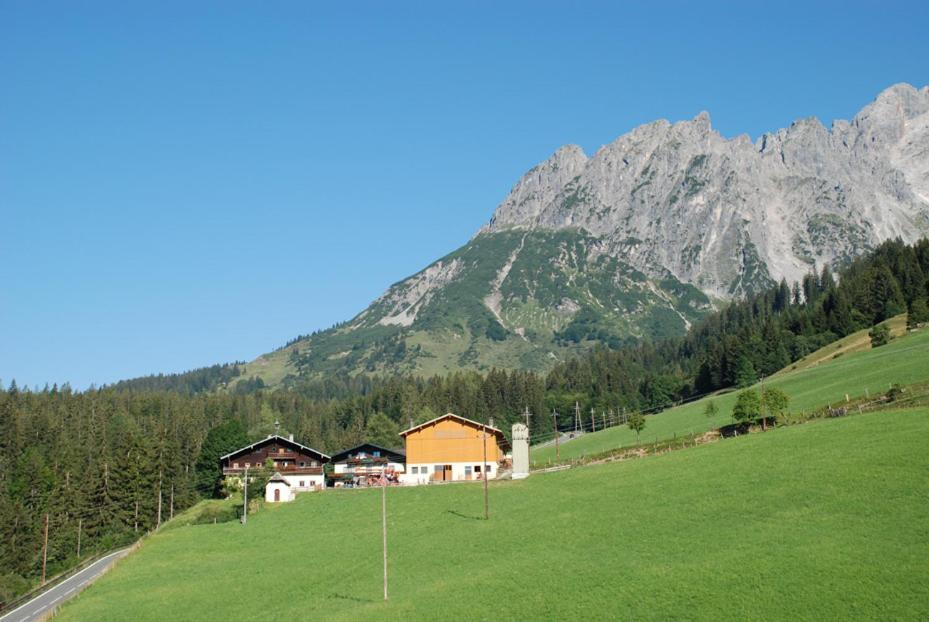 Ferienbauernhof Elmaugut Villa Mühlbach am Hochkönig Exterior foto